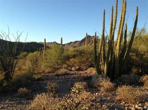 Organ Pipe National Monument, Arizona - Camping {Twin Peaks} - Gr8 ...