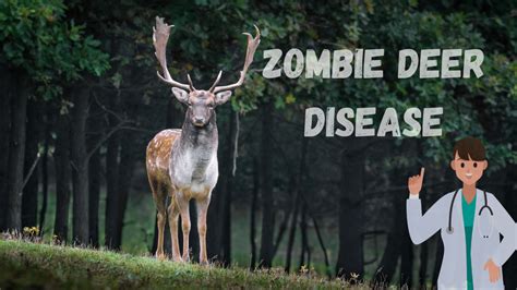 Chronic Wasting Disease (CWD) or Zombie Deer Disease, Is it a new Threat to human life? - Medico ...