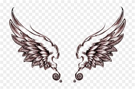 Angel Tattoos Png Transparent Images - Angel Wings Tattoo Drawing ...