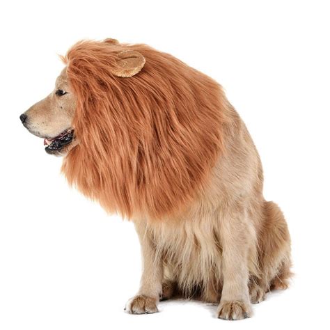 Acheter Chien Lion Crinière Drôle Lion Crinière Pour Chiens Cadeau De Noël Complémentaire Lion ...