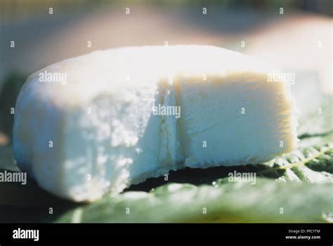 Circular block of Picodon goats cheese with section removed, close up ...