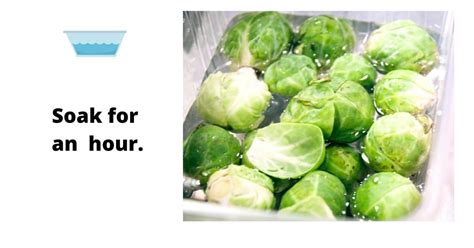 Can You Freeze Brussels Sprouts? - Yes you Can, but There is a Method!