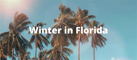 Winter in Florida | Private Jet Charter |Escape the cold