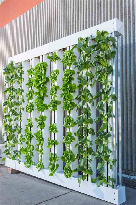 Vertical Farming In India, How To Start, Crops | Agri Farming