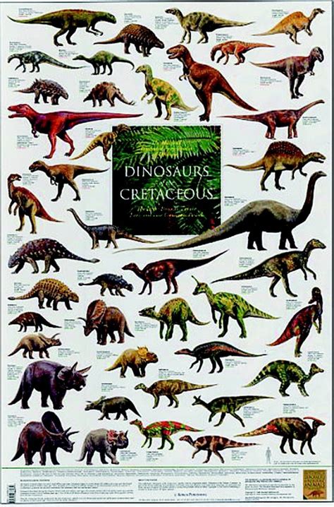 Dinosaurs of the Cretaceous - Poster | NHBS Field Guides & Natural History