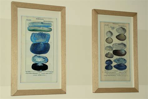 2024 Latest Vintage Bath Framed Art Prints Set of 3