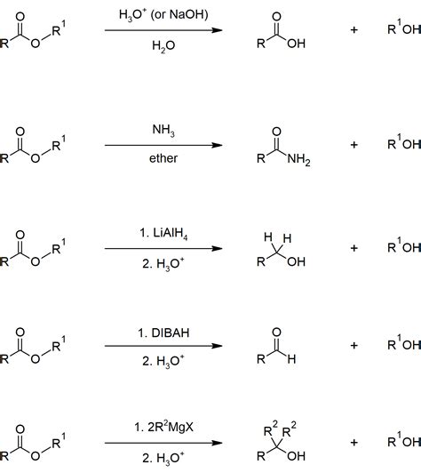 21.S: Carboxylic Acid Derivatives (Summary) - Chemistry LibreTexts