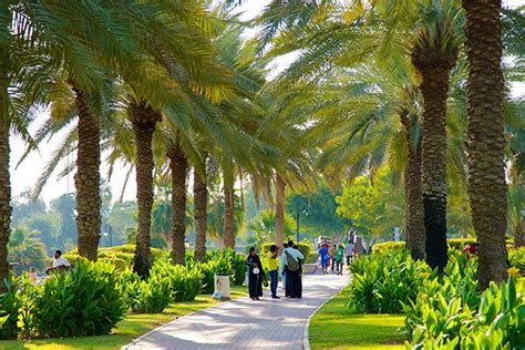 Exploring the Serenity of Safa Park in Dubai 🍃🦆