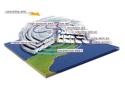 Tropical Cyclones: Favorable Conditions for Formation, Stages of Formation & Structure | PMF IAS