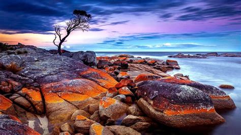 #tasmania #australia #sea #rock #stones #tree bay of fires #sky # ...