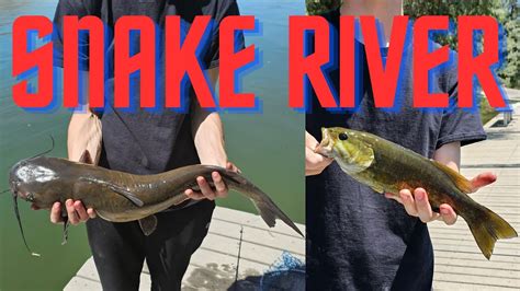 Snake River Idaho Fishing for Catfish and Bass - YouTube