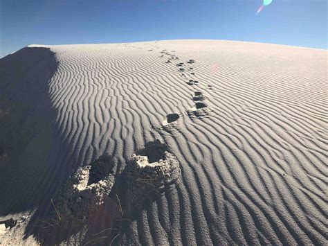 White Sands National Park — Wide Turns Only