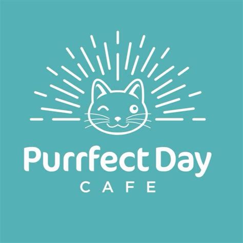 Purrfect Day Cat Cafe in Louisville, Kentucky - Meow Around