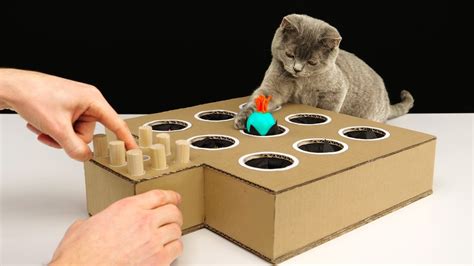 DIY Cat Toy Whack-A-Mole from Cardboard | ADEW Pets Centre