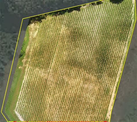 Cheers to precision farming: drone mapping a hop field – Precision Capture