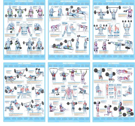 Lifting Exercise Chart | My XXX Hot Girl