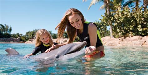 6 Places to Swim with Dolphins | Bucket List Family Vacation ...