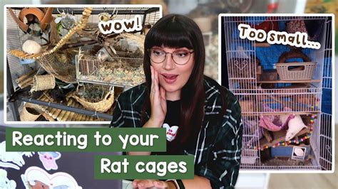 Reacting to your Rat cage setups | pt.5 - YouTube