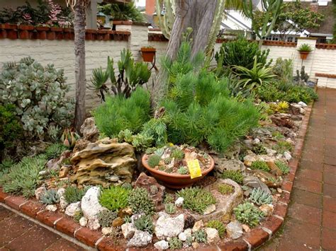 Desert Landscaping Succulents With Pots — Randolph Indoor and Outdoor ...