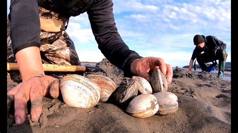 How to Dig for Clams During Low Tide - YouTube