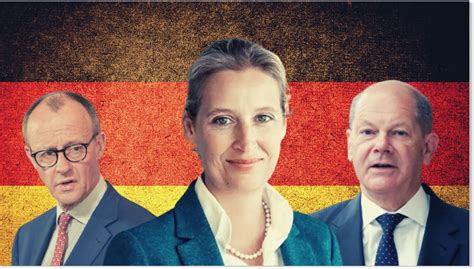 'Germany needs new elections' - Right-populist AfD party's hits record ...