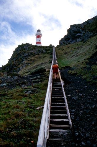 Cape Palliser lighthouse – Wairarapa places – Te Ara Encyclopedia of New Zealand