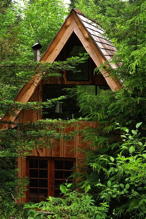 This Amazing Forest House Was Built For Just $11,000 With Locally Found ...