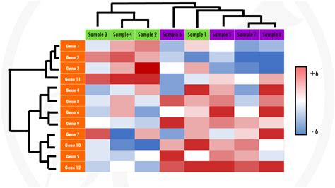 Heatmaps for gene expression analysis – simple explanation with an example - biostatsquid.com