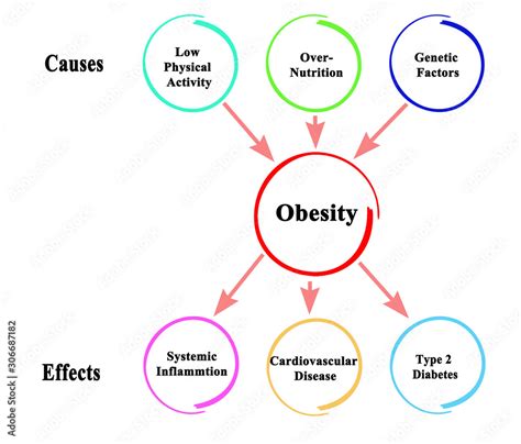 Causes.and Effects of Obesity Stock Illustration | Adobe Stock