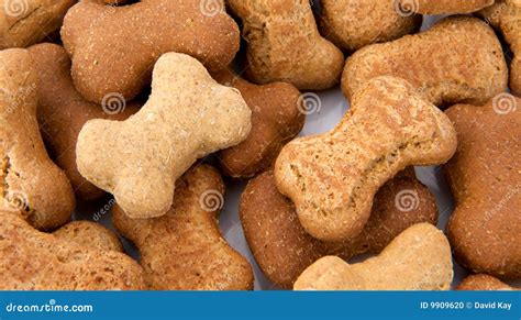 Dog Biscuits stock photo. Image of nutrition, shape, crunchy - 9909620