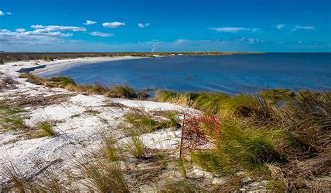 What Are The Different Types Of Estuaries? - WorldAtlas.com