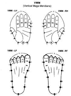 Vagus nerve stimulator