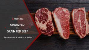 Grass Fed vs Grain Fed Beef - All Differences & Which is Better?