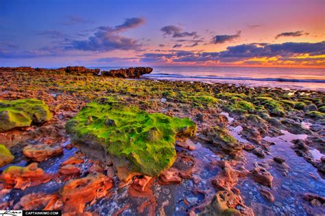 Colorful Sunrise Coral Cove Park Beach Jupiter Island | HDR Photography by Captain Kimo