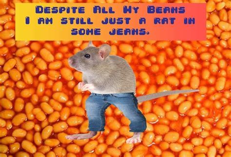 Beans jeans : r/BeanSoda