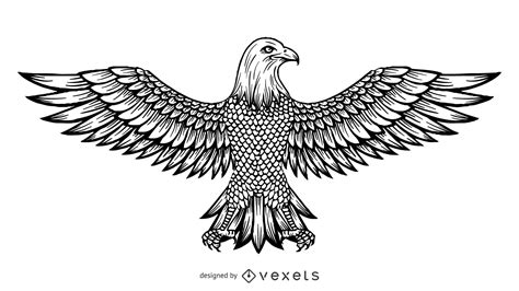 Eagle Line Art Vector At Vectorified Com Collection Of Eagle Line Art ...