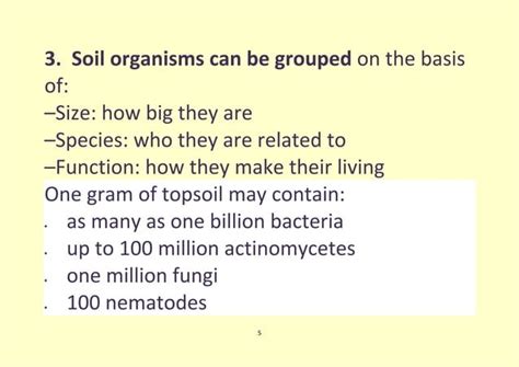 Soil microorganisms | PPT