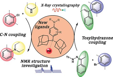 Aryl‐Diadamantyl Phosphine Ligands in Palladium‐Catalyzed Cross‐Coupling Reactions: Synthesis ...