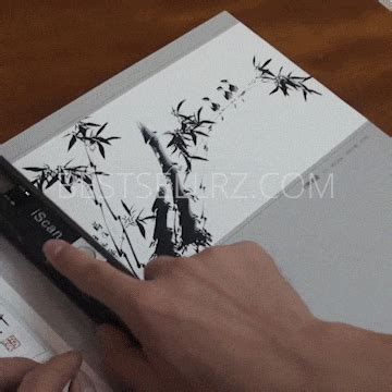 Portable Photo Document Book Scanner Handheld Wireless Wand - Quiscan™ – Roziyo®