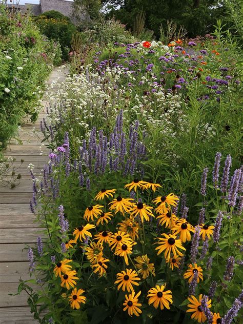 Careful plant placement helps this space attract a plethora of good insects without looking ...