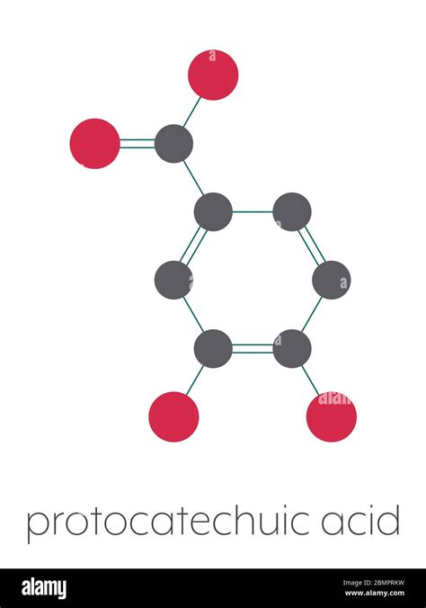 Protocatechuic acid (PCA) green tea antioxidant molecule. Stylized ...