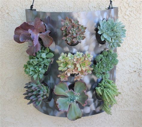 Incrediblly Cool Steel Metal Succulent Living Wall Art Sculpture frame includes 12 succulents t ...