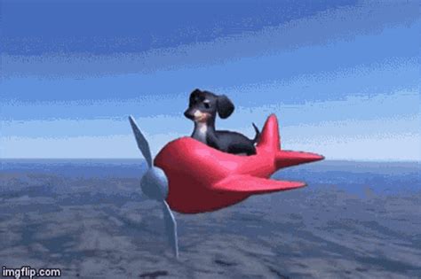 Dog Plane GIF - Dog Plane Joe - Discover & Share GIFs