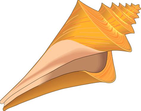 Seashell Clipart - ClipArt Best