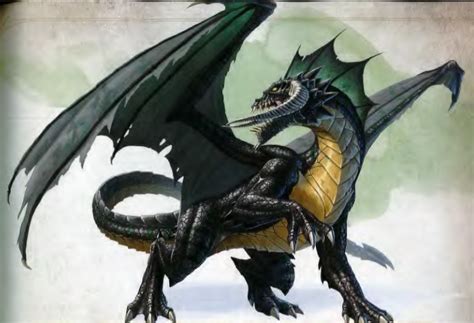 Ancient Black Dragon | Dragon artwork, Dragon pictures, Fantasy art men