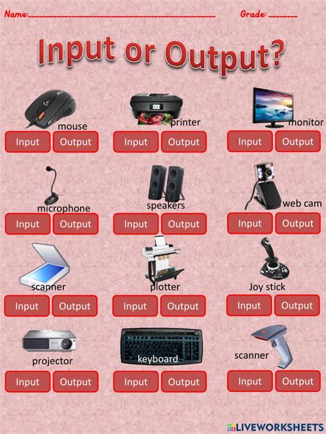 Input or Output? You Choose! worksheet | Computer basic, Computer ...