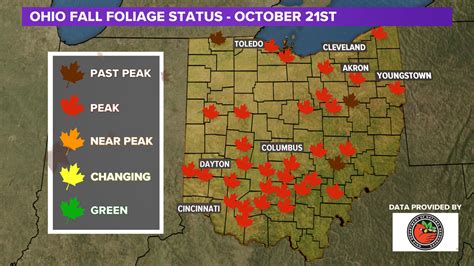 Fall Foliage | Check the leaf color across Ohio 2020 | wkyc.com