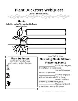 3rd Grade Science Ducksters Bundle by Hawkins' Hive | TPT