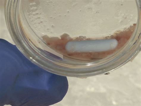 Isolation of Normal and Cancer-associated Fibroblasts from Fresh Tissues by Fluorescence ...