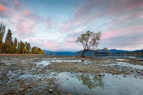 Wanaka Tree NZTFH0014 - Danny Irvine Photography